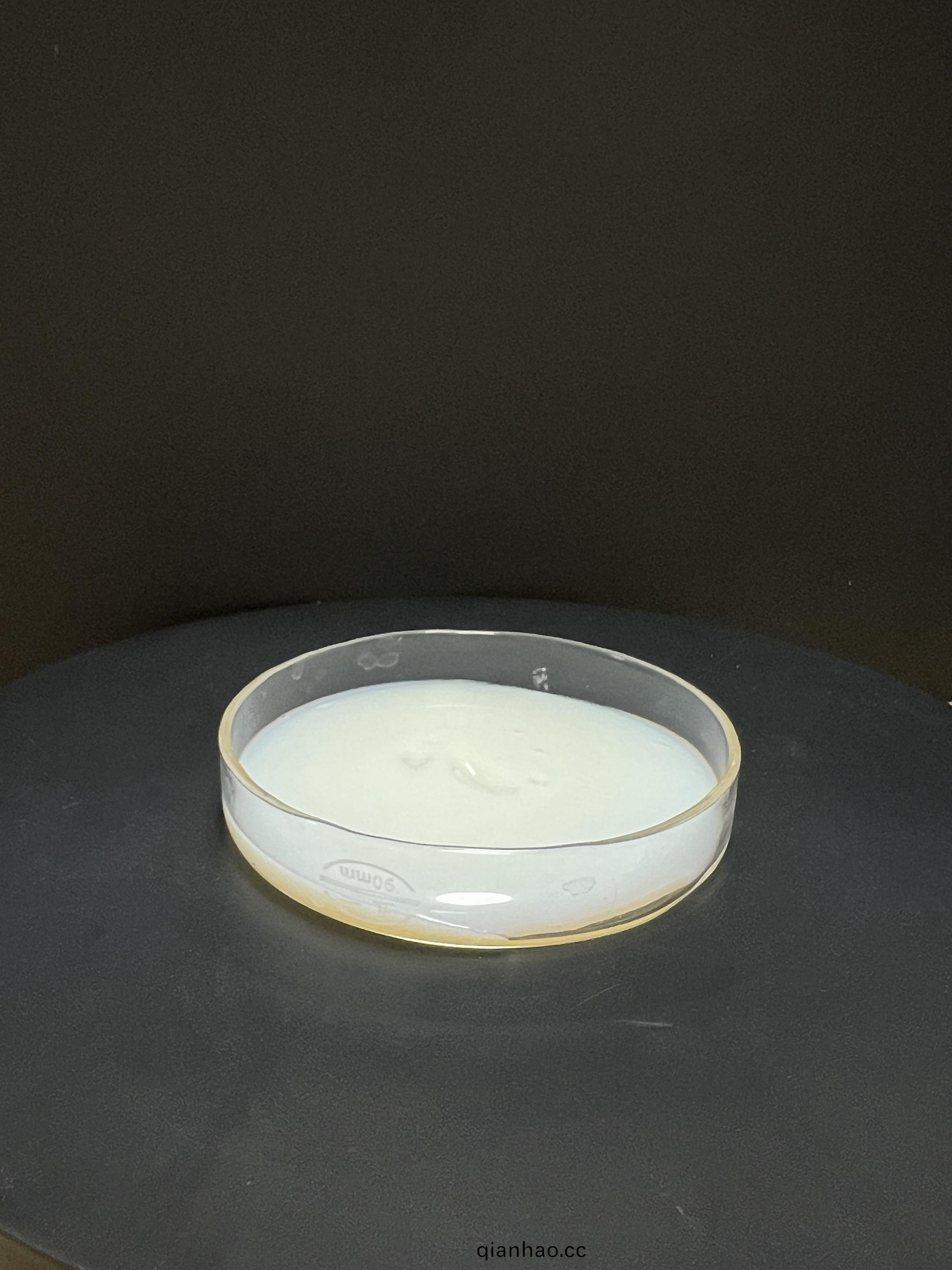 氣凝膠塗料專(zhuan)用乳液(ye)2583 硅丙乳液2583 氣凝膠塗料專用(yong)乳液2583 硅丙乳(ru)液2583