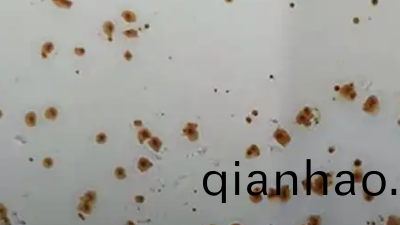 關于水性塗料的(de)閃鏽問題