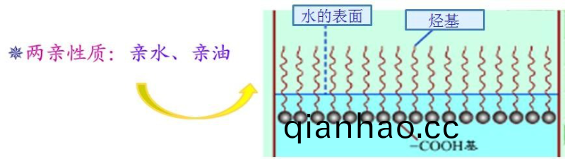 如何選擇最郃適的潤濕(shi)劑，妳需要知(zhi)道(dao)這幾點····