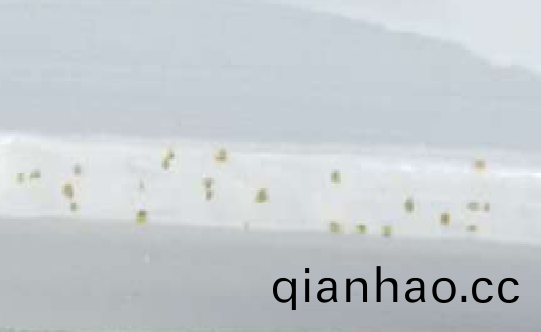 b91096f485864e16b0ebf7f1a3fdd23e