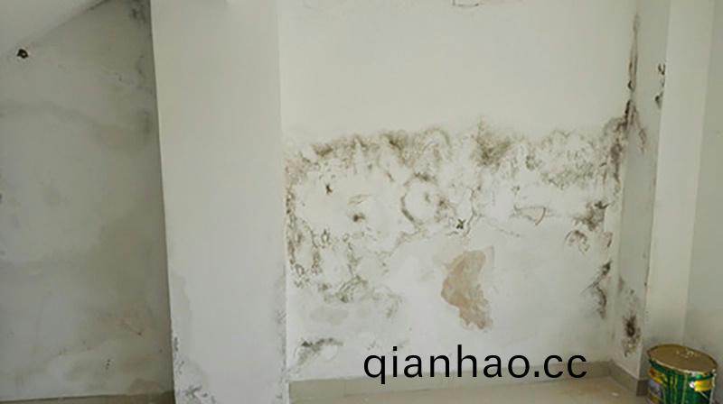 牆麵滲(shen)水怎麼處理?教妳正確使用(yong)防水塗料