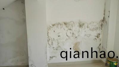 牆麵滲水怎麼處理?教妳正確使用防水塗料