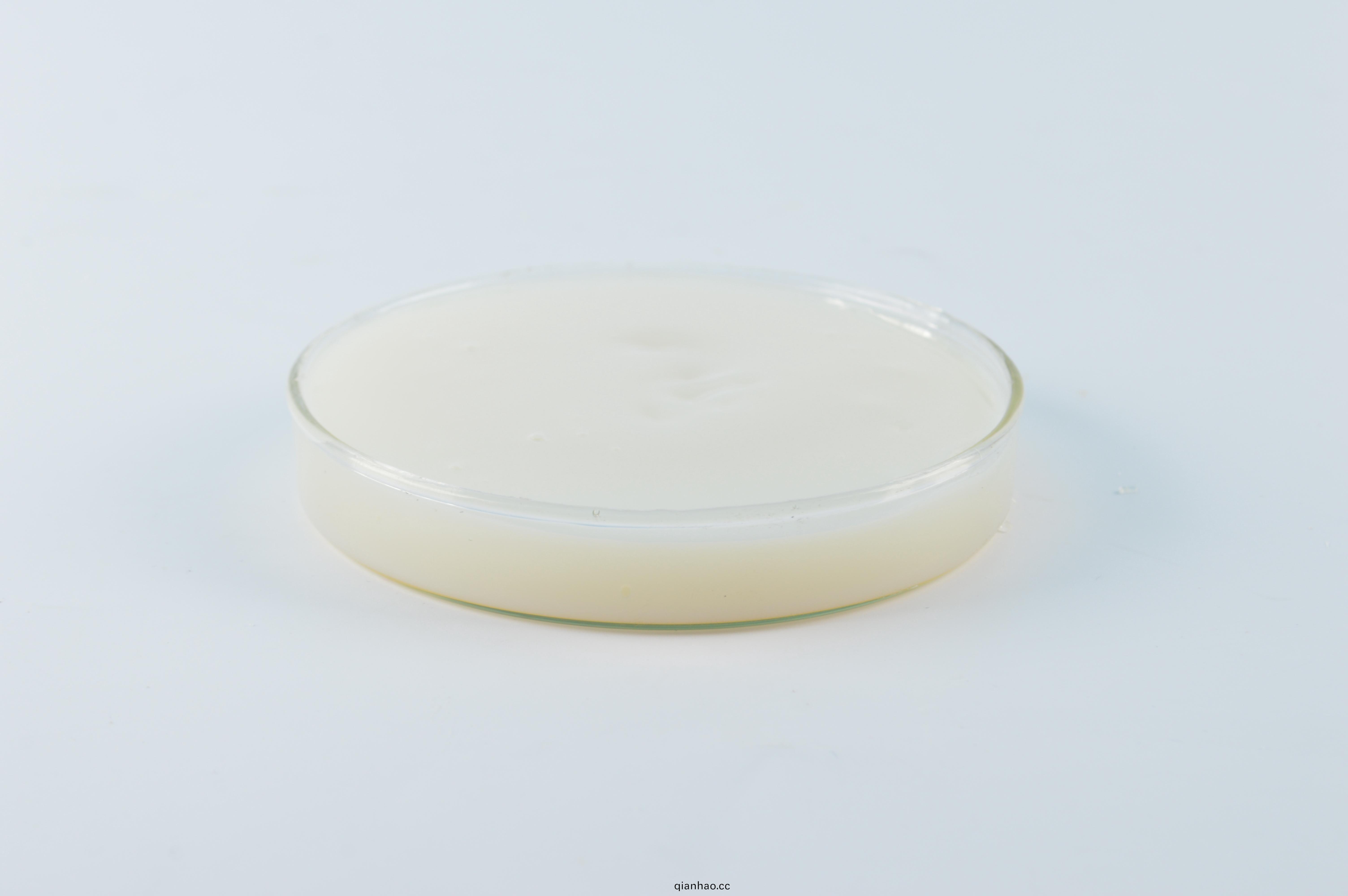 恩澤化工基(ji)礎漆乳液(ye)