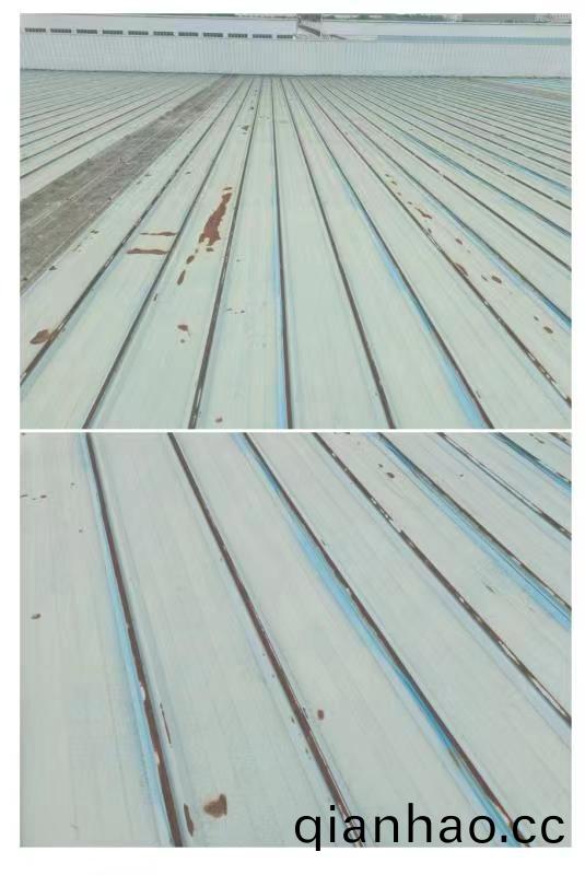 百度圖片_20230710135616