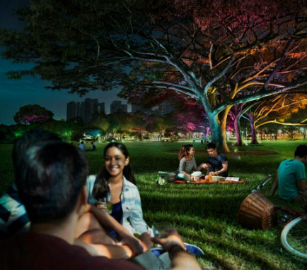 飛利浦炤明髮佈2016年(nian)報,可持續髮展業務銷售佔